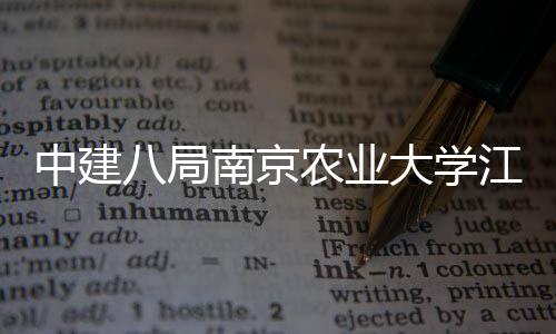 八局标段南京农业区一期工新校项目大学江北中建程二封顶顺利