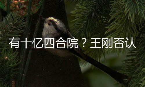认代版刚否王我不有十亿四合院和珅是现